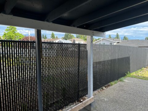 IMG-20250708-WA0004